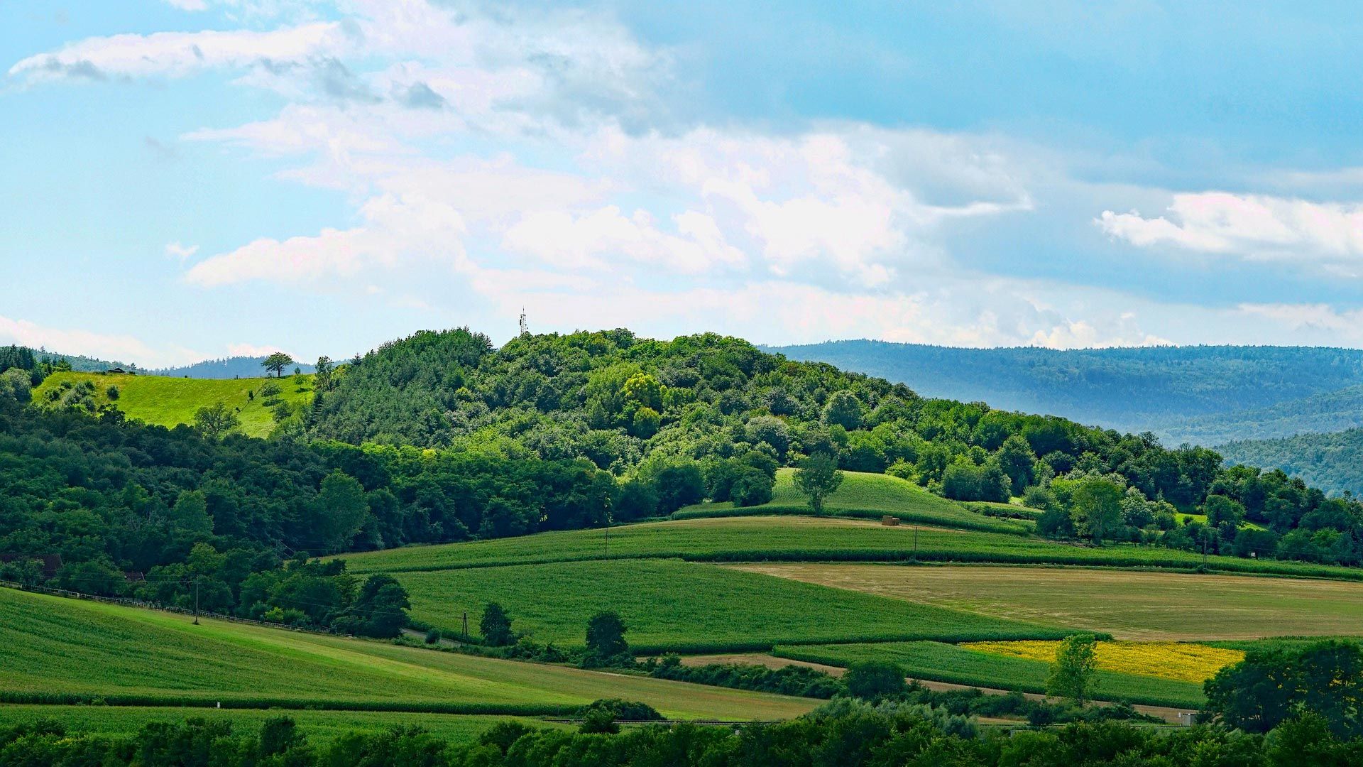 Gentechnikfreie Kommunen. Foto:schwoaze / pixabay.com